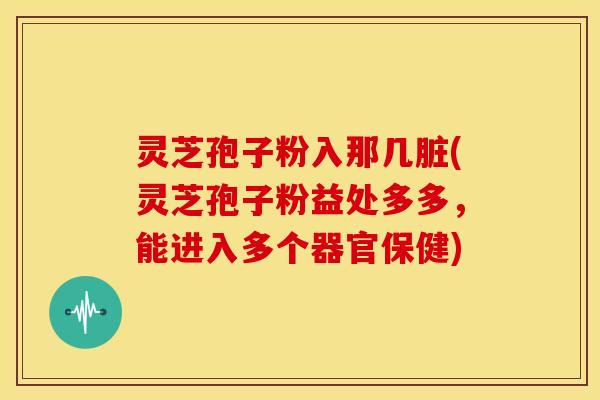 灵芝孢子粉入那几脏(灵芝孢子粉益处多多,能进入多个器官保健) 灵芝孢子粉入那几脏(灵芝孢子粉益处多多,能进入多个器官保健)