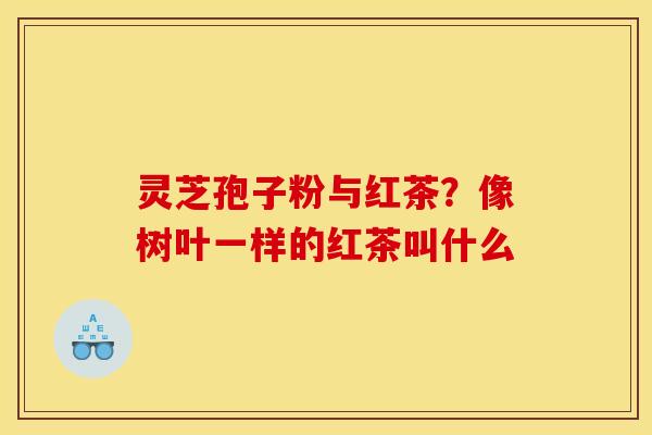 灵芝孢子粉与红茶？像树叶一样的红茶叫什么