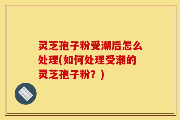 灵芝孢子粉受潮后怎么处理(如何处理受潮的灵芝孢子粉？)