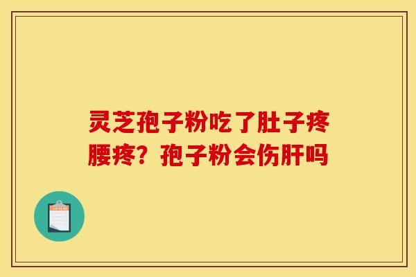 灵芝孢子粉吃了肚子疼腰疼?孢子粉会伤吗 灵芝孢子粉吃了肚子疼腰疼?孢子粉会伤吗