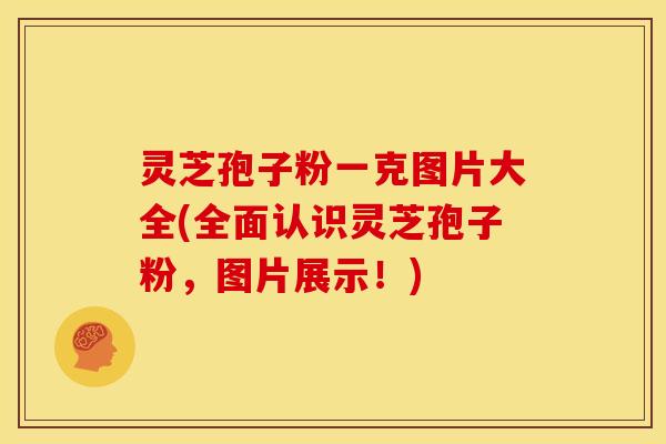 灵芝孢子粉一克图片大全(全面认识灵芝孢子粉,图片展示!) 灵芝孢子粉一克图片大全(全面认识灵芝孢子粉,图片展示!)