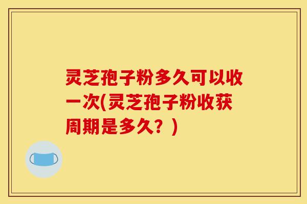 灵芝孢子粉多久可以收一次(灵芝孢子粉收获周期是多久？)