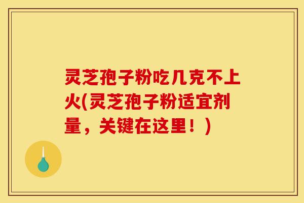 灵芝孢子粉吃几克不上火(灵芝孢子粉适宜剂量,关键在这里!) 灵芝孢子粉吃几克不上火(灵芝孢子粉适宜剂量,关键在这里!)