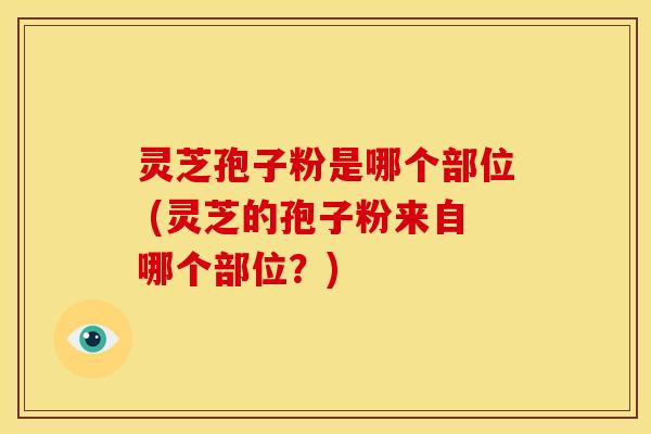 灵芝孢子粉是哪个部位 (灵芝的孢子粉来自哪个部位?) 灵芝孢子粉是哪个部位 (灵芝的孢子粉来自哪个部位?)