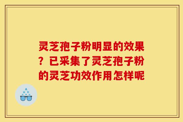 灵芝孢子粉明显的效果?已采集了灵芝孢子粉的灵芝功效作用怎样呢 灵芝孢子粉明显的效果?已采集了灵芝孢子粉的灵芝功效作用怎样呢