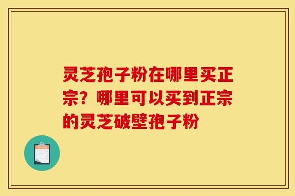 灵芝孢子粉在哪里买正宗？哪里可以买到正宗的灵芝破壁孢子粉