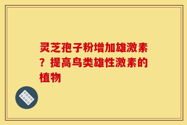 灵芝孢子粉增加雄激素？提高鸟类雄性激素的植物