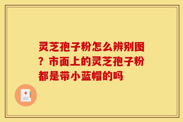 灵芝孢子粉怎么辨别图?市面上的灵芝孢子粉都是带小蓝帽的吗 灵芝孢子粉怎么辨别图?市面上的灵芝孢子粉都是带小蓝帽的吗