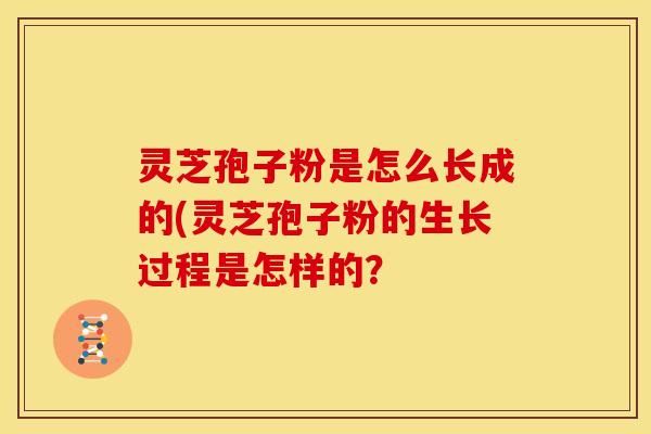 灵芝孢子粉是怎么长成的(灵芝孢子粉的生长过程是怎样的? 灵芝孢子粉是怎么长成的(灵芝孢子粉的生长过程是怎样的?