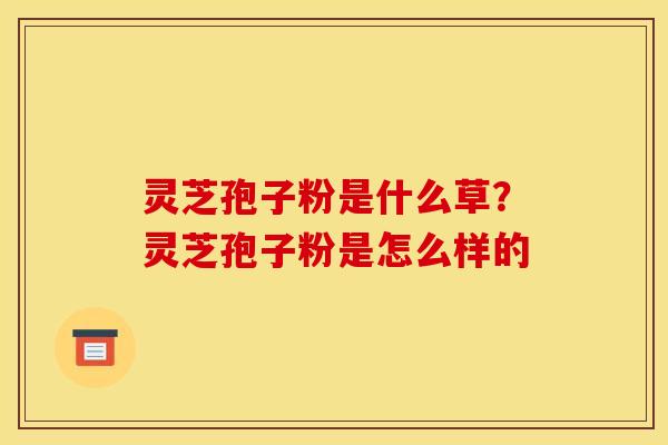 灵芝孢子粉是什么草?灵芝孢子粉是怎么样的 灵芝孢子粉是什么草?灵芝孢子粉是怎么样的
