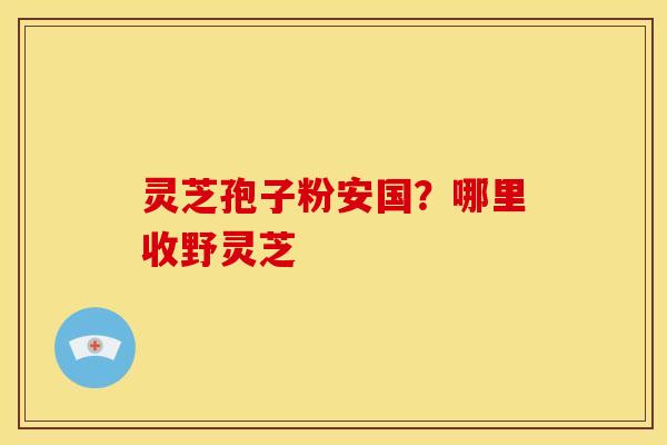 灵芝孢子粉安国?哪里收野灵芝 灵芝孢子粉安国?哪里收野灵芝