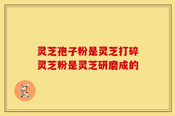 灵芝孢子粉是灵芝打碎灵芝粉是灵芝研磨成的 灵芝孢子粉是灵芝打碎灵芝粉是灵芝研磨成的