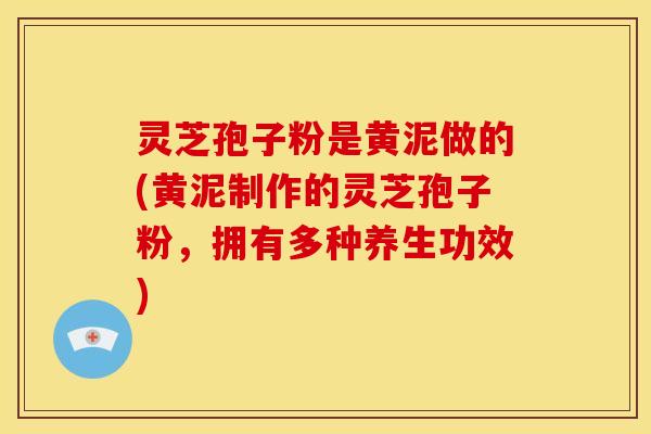 灵芝孢子粉是黄泥做的(黄泥制作的灵芝孢子粉,拥有多种养生功效) 灵芝孢子粉是黄泥做的(黄泥制作的灵芝孢子粉,拥有多种养生功效)