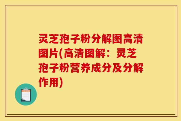 灵芝孢子粉分解图高清图片(高清图解:灵芝孢子粉营养成分及分解作用) 灵芝孢子粉分解图高清图片(高清图解:灵芝孢子粉营养成分及分解作用)