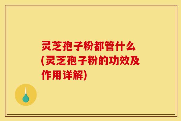 灵芝孢子粉都管什么 (灵芝孢子粉的功效及作用详解) 灵芝孢子粉都管什么 (灵芝孢子粉的功效及作用详解)