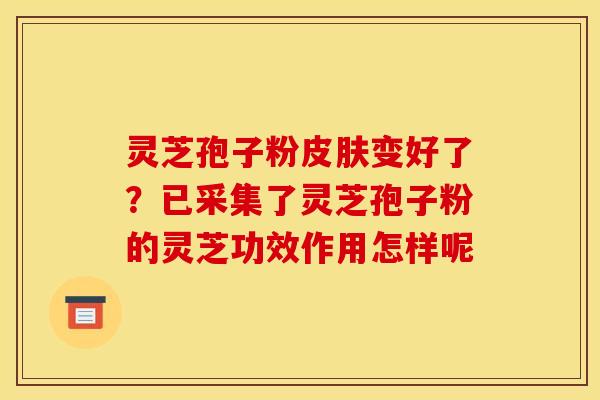 灵芝孢子粉变好了?已采集了灵芝孢子粉的灵芝功效作用怎样呢 灵芝孢子粉变好了?已采集了灵芝孢子粉的灵芝功效作用怎样呢