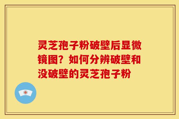 灵芝孢子粉破壁后显微镜图？如何分辨破壁和没破壁的灵芝孢子粉