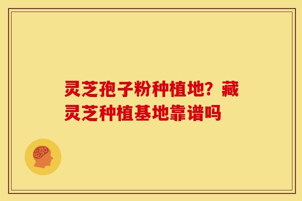灵芝孢子粉种植地？藏灵芝种植基地靠谱吗