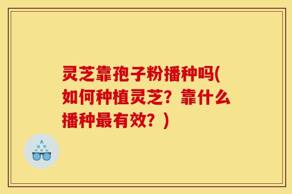 灵芝靠孢子粉播种吗(如何种植灵芝?靠什么播种有效?) 灵芝靠孢子粉播种吗(如何种植灵芝?靠什么播种有效?)