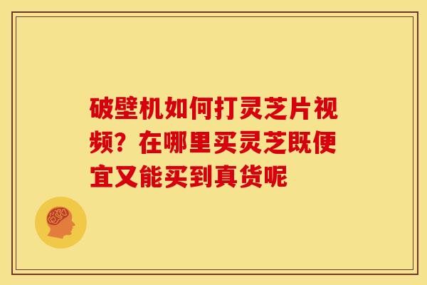破壁机如何打灵芝片视频？在哪里买灵芝既便宜又能买到真货呢