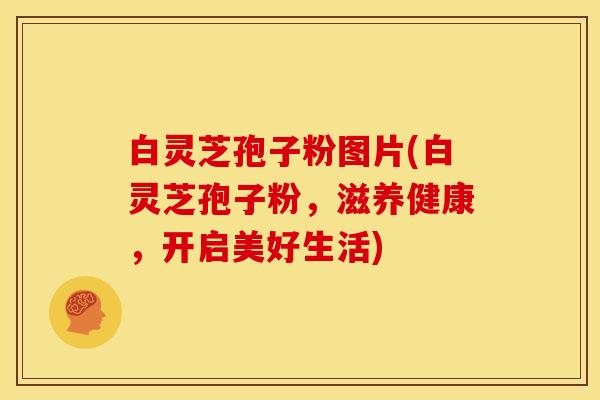白灵芝孢子粉图片(白灵芝孢子粉,滋养健康,开启美好生活) 白灵芝孢子粉图片(白灵芝孢子粉,滋养健康,开启美好生活)