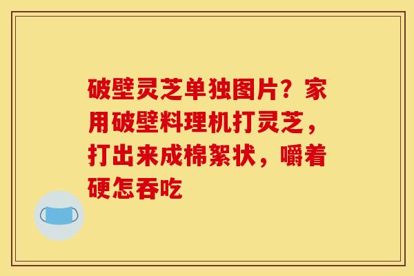 破壁灵芝单独图片?家用破壁料理机打灵芝,打出来成棉絮状,嚼着硬怎吞吃 破壁灵芝单独图片?家用破壁料理机打灵芝,打出来成棉絮状,嚼着硬怎吞吃