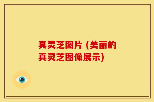 真灵芝图片 (美丽的真灵芝图像展示) 真灵芝图片 (美丽的真灵芝图像展示)