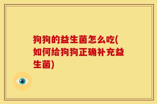 狗狗的益生菌怎么吃(如何给狗狗正确补充益生菌)