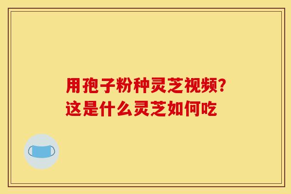 用孢子粉种灵芝视频?这是什么灵芝如何吃 用孢子粉种灵芝视频?这是什么灵芝如何吃