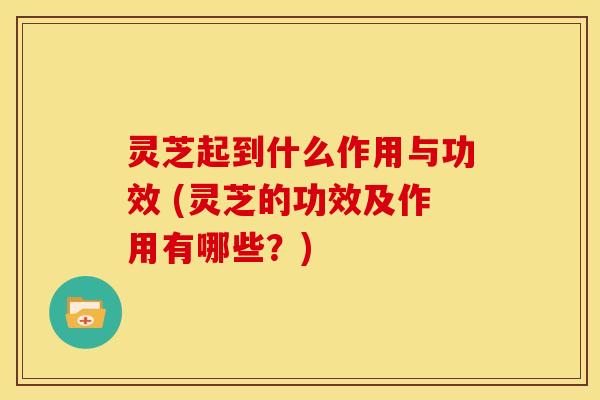 灵芝起到什么作用与功效 (灵芝的功效及作用有哪些？)