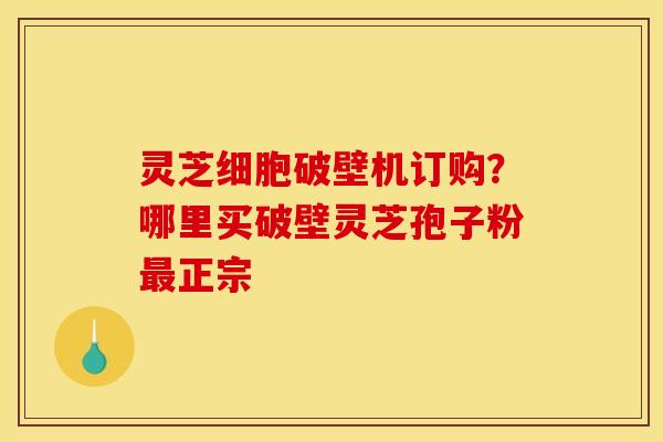 灵芝细胞破壁机订购?哪里买破壁灵芝孢子粉正宗 灵芝细胞破壁机订购?哪里买破壁灵芝孢子粉正宗