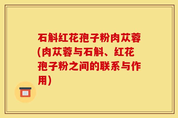 石斛红花孢子粉肉苁蓉(肉苁蓉与石斛、红花孢子粉之间的联系与作用)