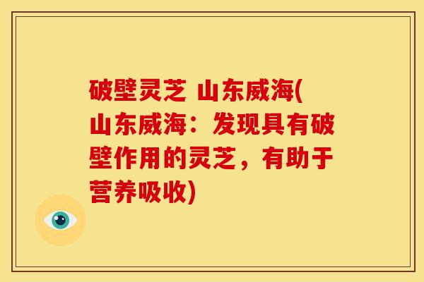 破壁灵芝 山东威海(山东威海:发现具有破壁作用的灵芝,有助于营养吸收) 破壁灵芝 山东威海(山东威海:发现具有破壁作用的灵芝,有助于营养吸收)