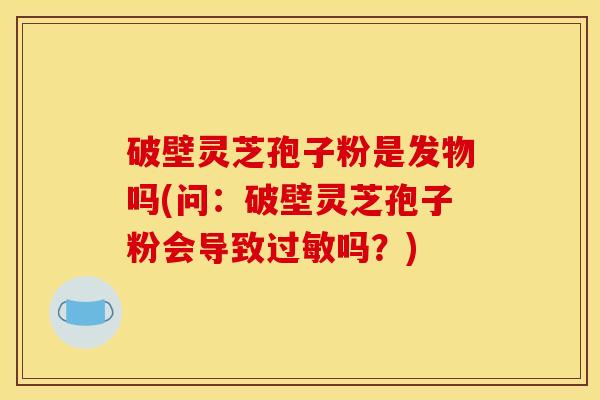 破壁灵芝孢子粉是发物吗(问:破壁灵芝孢子粉会导致吗?) 破壁灵芝孢子粉是发物吗(问:破壁灵芝孢子粉会导致吗?)