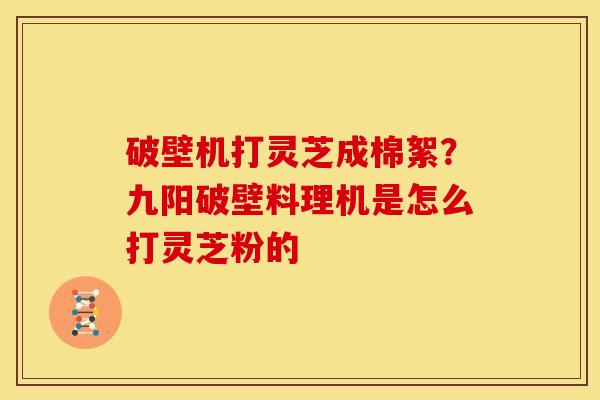 破壁机打灵芝成棉絮?九阳破壁料理机是怎么打灵芝粉的 破壁机打灵芝成棉絮?九阳破壁料理机是怎么打灵芝粉的