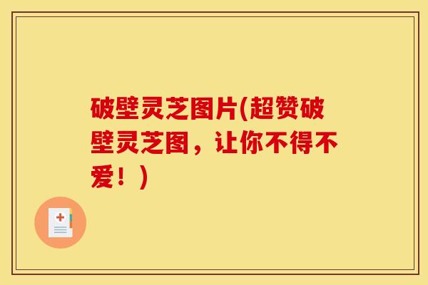 破壁灵芝图片(超赞破壁灵芝图，让你不得不爱！)