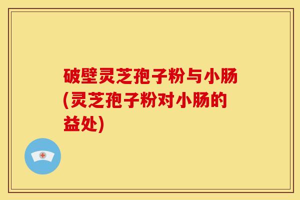 破壁灵芝孢子粉与小肠(灵芝孢子粉对小肠的益处)