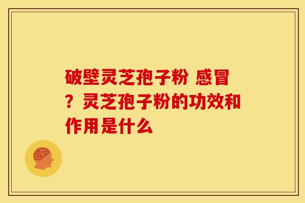 破壁灵芝孢子粉 ?灵芝孢子粉的功效和作用是什么 破壁灵芝孢子粉 ?灵芝孢子粉的功效和作用是什么