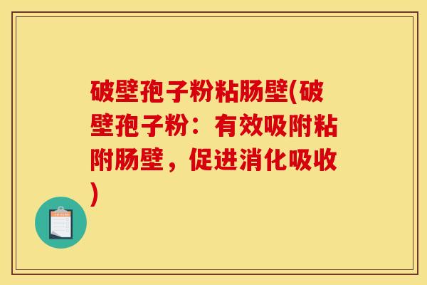 破壁孢子粉粘肠壁(破壁孢子粉:有效吸附粘附肠壁,促进消化吸收) 破壁孢子粉粘肠壁(破壁孢子粉:有效吸附粘附肠壁,促进消化吸收)