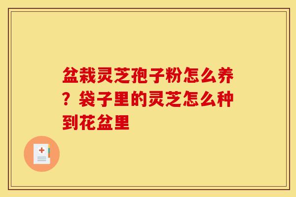 盆栽灵芝孢子粉怎么养?袋子里的灵芝怎么种到花盆里 盆栽灵芝孢子粉怎么养?袋子里的灵芝怎么种到花盆里