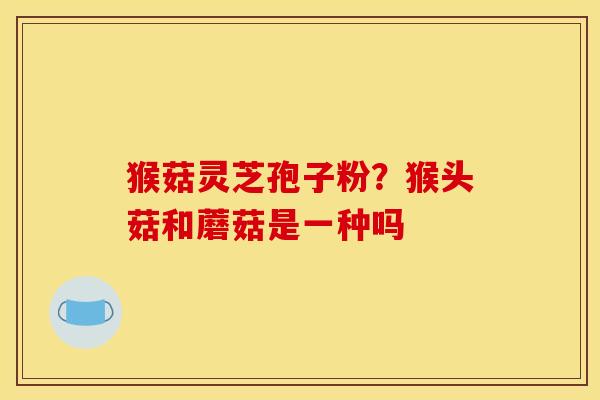 猴菇灵芝孢子粉?猴头菇和蘑菇是一种吗 猴菇灵芝孢子粉?猴头菇和蘑菇是一种吗