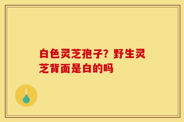 白色灵芝孢子?野生灵芝背面是白的吗 白色灵芝孢子?野生灵芝背面是白的吗