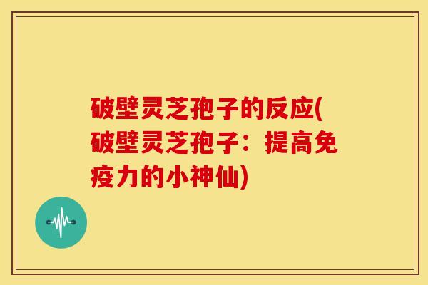 破壁灵芝孢子的反应(破壁灵芝孢子:提高免疫力的小神仙) 破壁灵芝孢子的反应(破壁灵芝孢子:提高免疫力的小神仙)