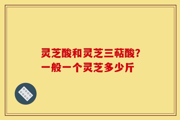 灵芝酸和灵芝三萜酸?一般一个灵芝多少斤 灵芝酸和灵芝三萜酸?一般一个灵芝多少斤