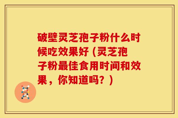 破壁灵芝孢子粉什么时候吃效果好 (灵芝孢子粉佳食用时间和效果,你知道吗?) 破壁灵芝孢子粉什么时候吃效果好 (灵芝孢子粉佳食用时间和效果,你知道吗?)