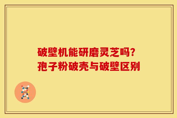 破壁机能研磨灵芝吗?孢子粉破壳与破壁区别 破壁机能研磨灵芝吗?孢子粉破壳与破壁区别