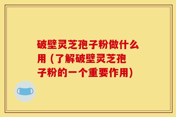破壁灵芝孢子粉做什么用 (了解破壁灵芝孢子粉的一个重要作用) 破壁灵芝孢子粉做什么用 (了解破壁灵芝孢子粉的一个重要作用)