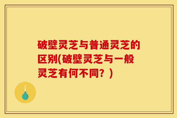 破壁灵芝与普通灵芝的区别(破壁灵芝与一般灵芝有何不同?) 破壁灵芝与普通灵芝的区别(破壁灵芝与一般灵芝有何不同?)