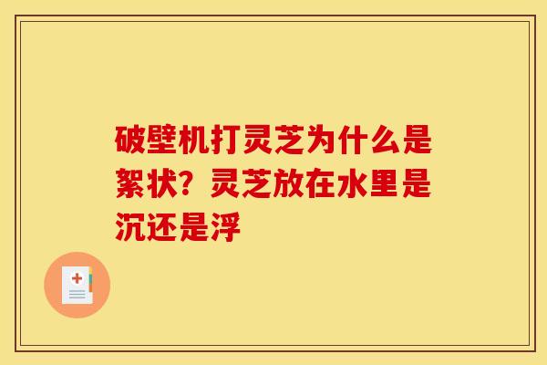 破壁机打灵芝为什么是絮状?灵芝放在水里是沉还是浮 破壁机打灵芝为什么是絮状?灵芝放在水里是沉还是浮