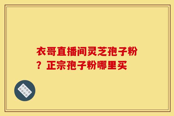 衣哥直播间灵芝孢子粉?正宗孢子粉哪里买 衣哥直播间灵芝孢子粉?正宗孢子粉哪里买
